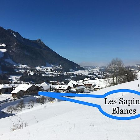 Apartamento Les Sapins Blancs Vacheresse Exterior foto